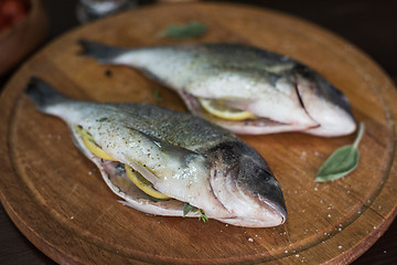 Image showing Fresh uncooked dorado 