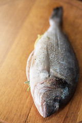 Image showing Fresh uncooked dorado 