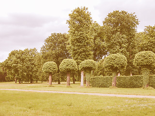 Image showing Park Sanssouci in Potsdam vintage