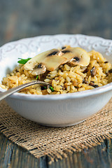 Image showing White plate with mushroom risotto.
