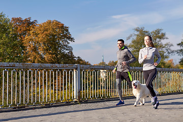 Image showing happy couple with dog running outdoors