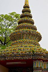 Image showing  thailand  in  bangkok  rain   temple tree