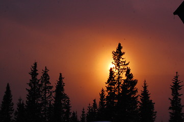 Image showing Sunset