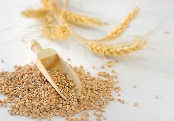 Image showing close up of pearl barley