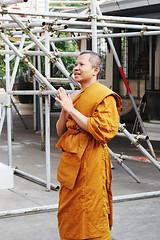 Image showing Monk