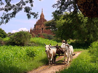 Image showing Myanmar vintage landscape