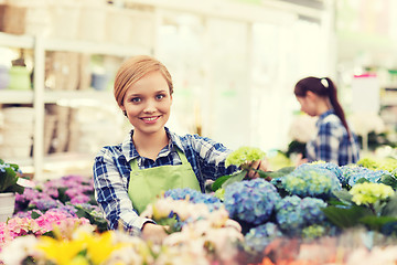 Image showing happy woman taking care of flowers in greenhouse