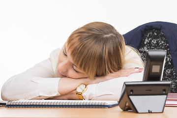 Image showing The phone rang may not wake the sleeping in the office office specialist