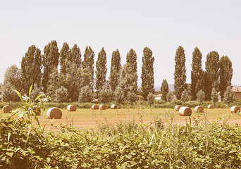 Image showing Retro looking Hay bale