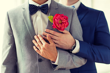 Image showing close up of happy male gay couple