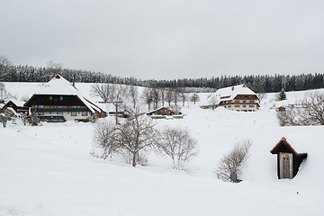 Image showing Typical black forest houses