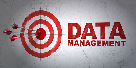 Image showing Information concept: target and Data Management on wall background