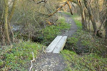 Image showing Old wooden bridge