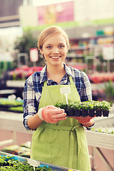 Image showing happy woman holding seedling in greenhouse
