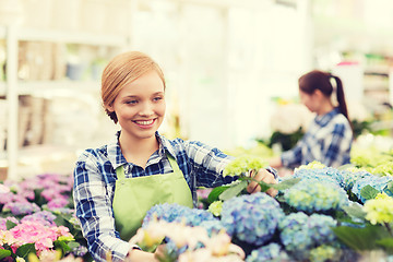 Image showing happy woman taking care of flowers in greenhouse