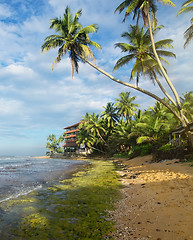 Image showing Shadows on the beach