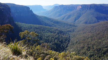 Image showing Blue Mountains National Park in Australia