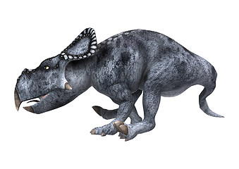 Image showing Dinosaur Protoceratops on White