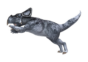 Image showing Dinosaur Protoceratops on White