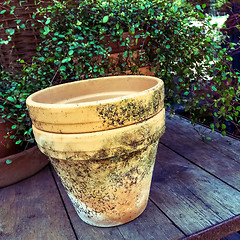 Image showing Old mossy clay pot