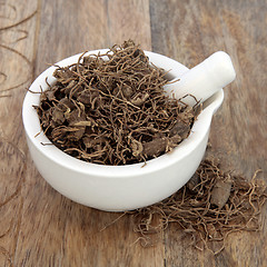 Image showing Black Cohosh Root Herb