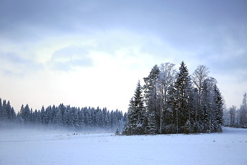Image showing Winter Evening Landscape with Fog and Frosted Trees 