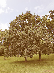 Image showing Kensington gardens London vintage