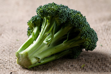 Image showing Broccoli