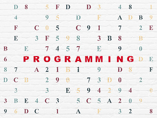 Image showing Programming concept: Programming on wall background