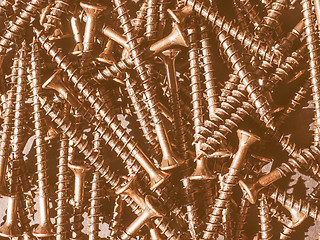 Image showing  Wood screw vintage