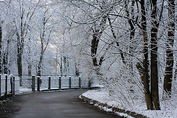 Image showing winter street
