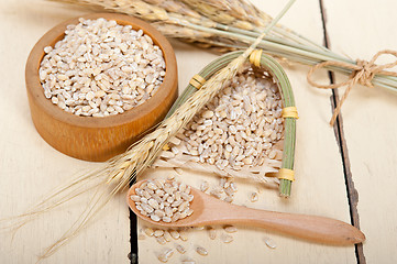 Image showing organic barley grains