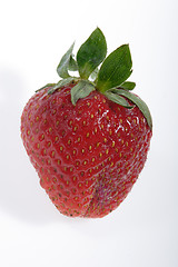 Image showing strawberry