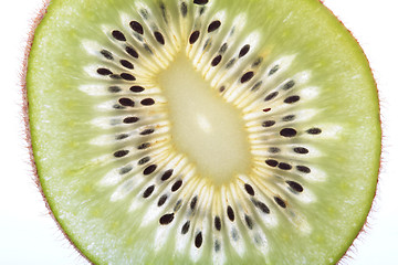 Image showing kiwi, exotic fruit