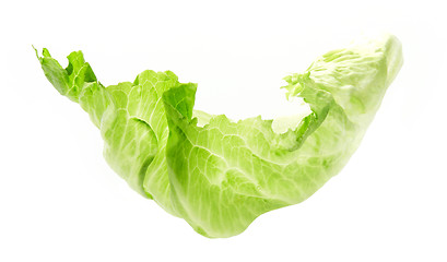 Image showing Green iceberg lettuce leaf