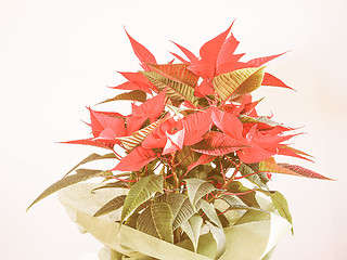 Image showing Retro looking Poinsettia Christmas star