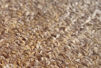 Image showing Carpet texture close-up