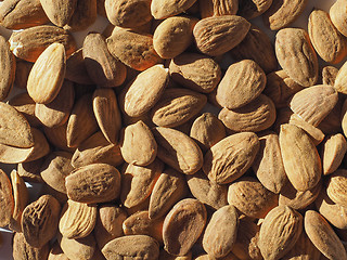 Image showing Almonds dried fruit