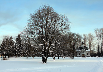 Image showing Winter Landscape