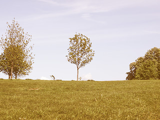 Image showing Primrose Hill, London vintage