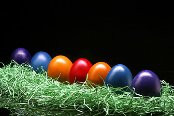 Image showing colored eggs