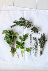 Image showing Mixed fresh herbs