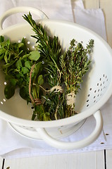 Image showing Mixed fresh herbs