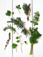 Image showing Mixed fresh herbs