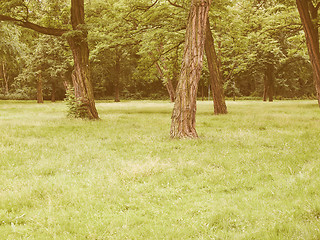 Image showing Retro looking Tree in a park