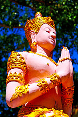 Image showing siddharta   in the temple        step     wat  palaces   