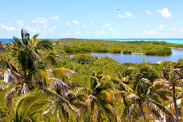 Image showing isla contoy   sand   in mexico froath   day  wave