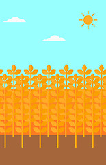 Image showing Background of wheat field.