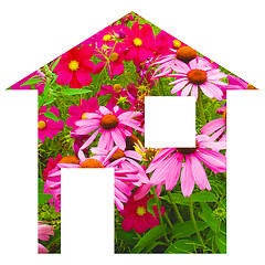 Image showing Flower house