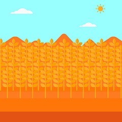 Image showing Background of wheat field.